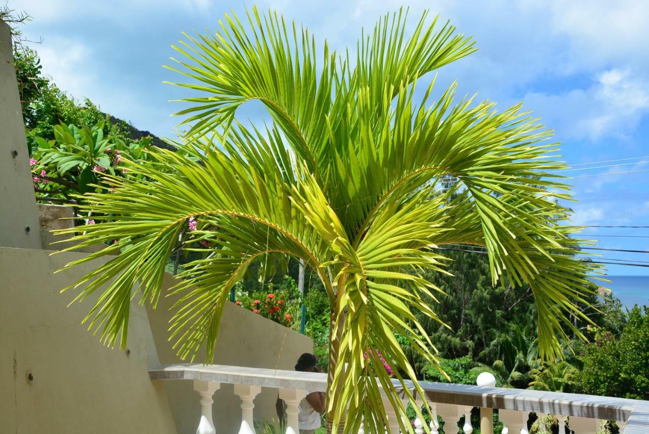 Villa Anse La Blague Baie Sainte Anne Buitenkant foto