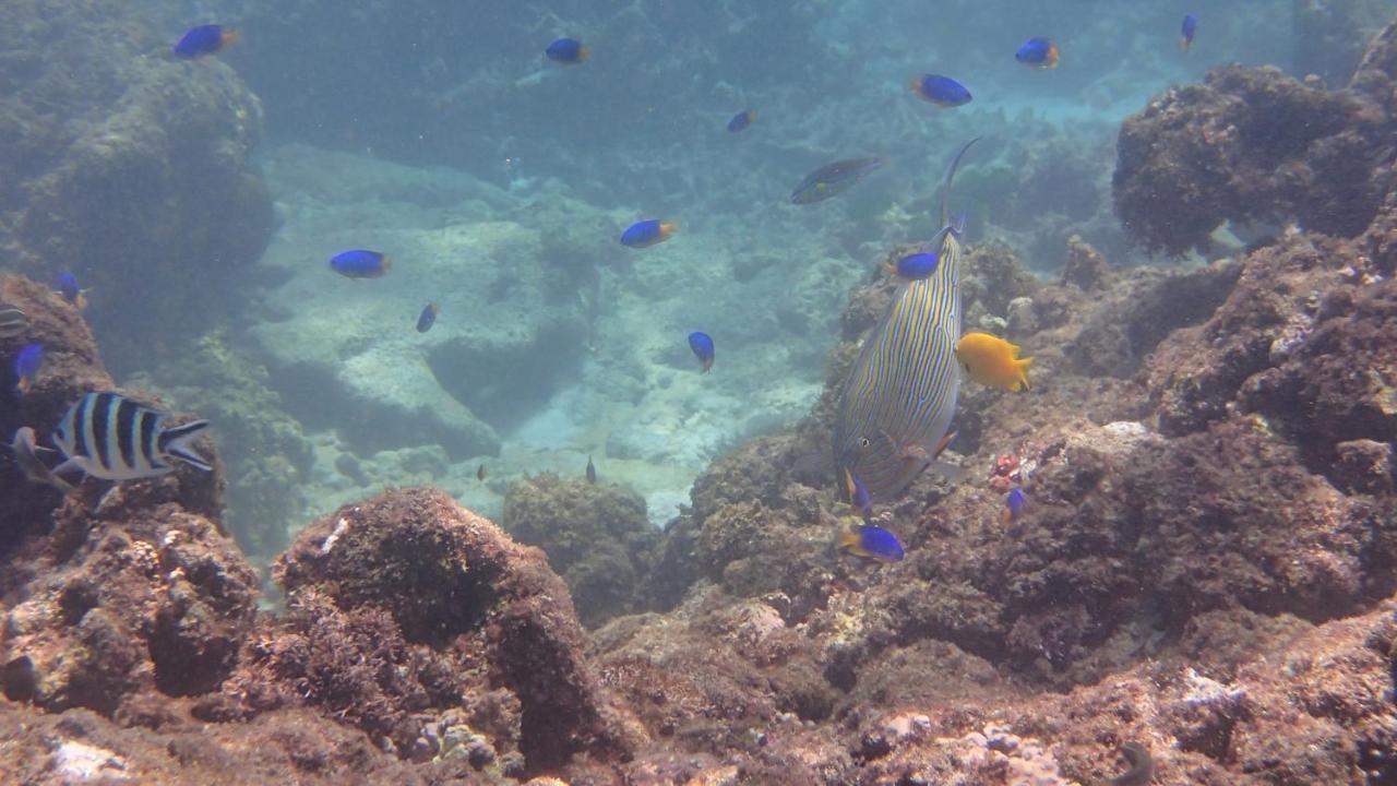 Villa Anse La Blague Baie Sainte Anne Buitenkant foto