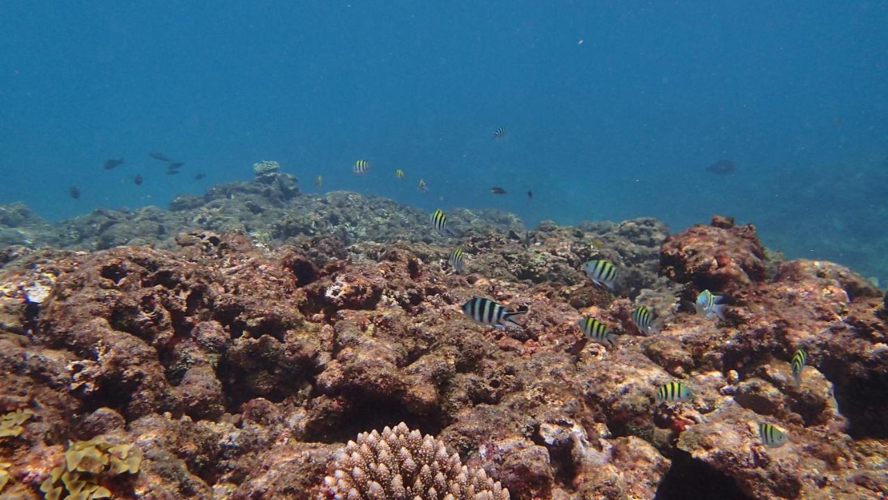 Villa Anse La Blague Baie Sainte Anne Buitenkant foto